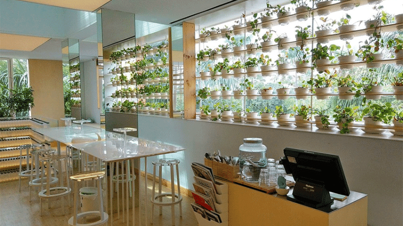 turning point coffee di tangerang