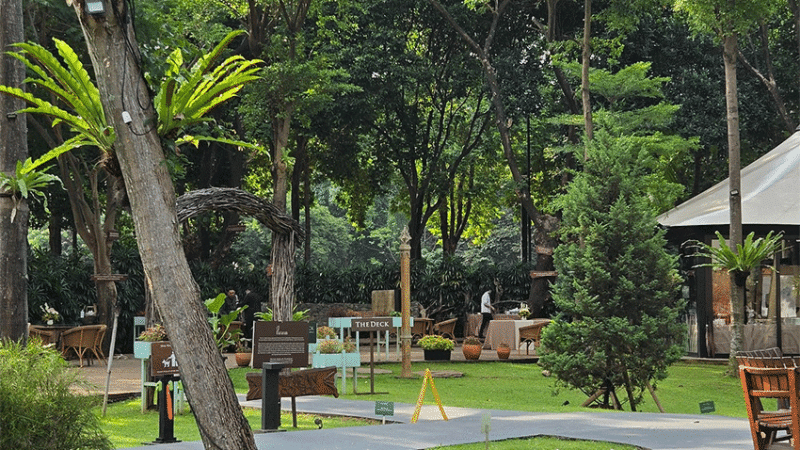 pidari lounge di hutan kota jakarta